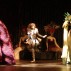 web 900 x 600 Cirque 04.jpg