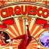 web 900 x 600 Cirquesco showblock.jpg