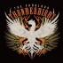 web 900 x 600 The Fabulous Thunderbirds showblock.jpg